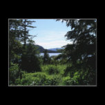 Alaskan Landscape Postcard