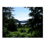 Alaskan Landscape Postcard