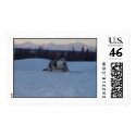 Alaskan Malamute and Mt. McKinley postage