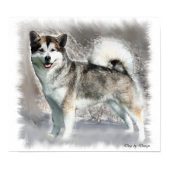 Alaskan Malamute Art Print Gifts print