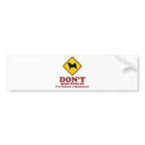 Alaskan Malamute bumper stickers