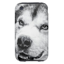 ALASKAN MALAMUTE IPHONE 3 TOUGH COVER