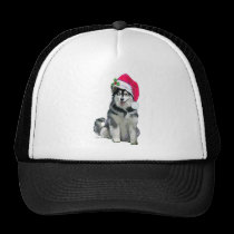 alaskan malamute Christmas hats