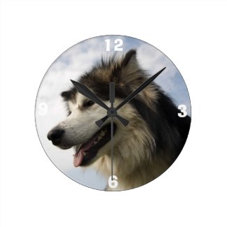 Alaskan Malamute clocks