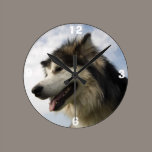 Alaskan Malamute clocks wall clocks