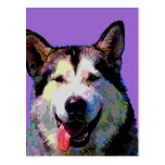 Alaskan Malamute Dazzling "Kiska" Postcard
