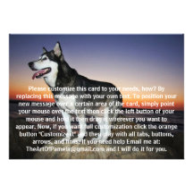 Alaskan Malamute Dog at Sunset Custom Invitations