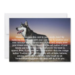 Alaskan Malamute Dog at Sunset Custom Invitations