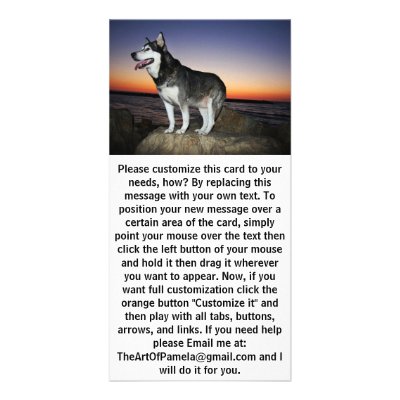Alaskan Malamute Dog at Sunset Customized Photo Card by TheArtOfPamela