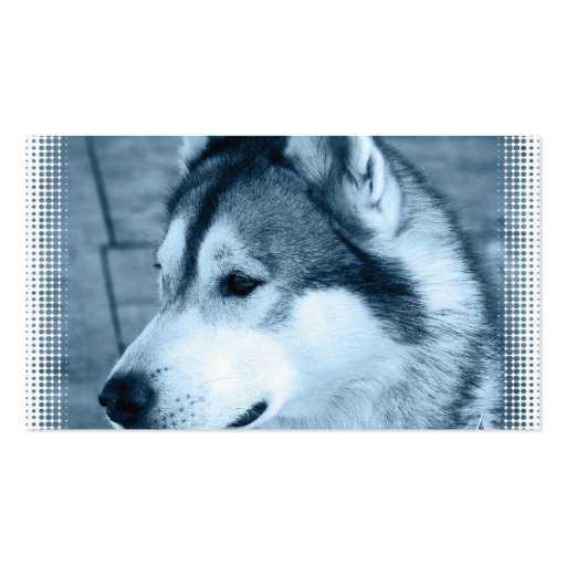 Alaskan Malamute Dog Business Card (back side)