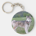 Alaskan Malamute Dog Keychain