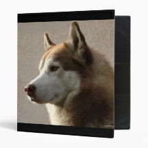 Alaskan Malamute Dog Photograph 3 Ring Binders