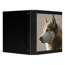 Alaskan Malamute Dog Photograph 3 Ring Binders