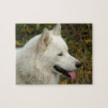 Alaskan Malamute Dog Photograph Jigsaw Puzzles