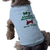 Alaskan Malamute pet clothing