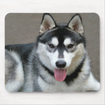 Alaskan Malamute Dogs Mouse Mats