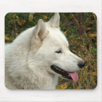 Alaskan Malamute Dogs mousepads