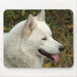 Alaskan Malamute Dogs mousepads