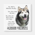 Alaskan Malamute FAQ Magnet