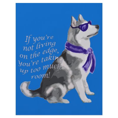 alaskan Malamute Flyer Design by knewfy