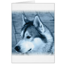 Alaskan Malamute Greeting Card