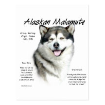 Alaskan Malamute History Design Post Card