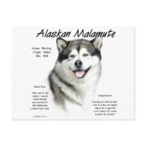 Alaskan Malamute History Design Postcards