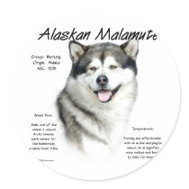 Alaskan Malamute History Design Sticker
