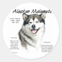 Alaskan Malamute History Design Sticker