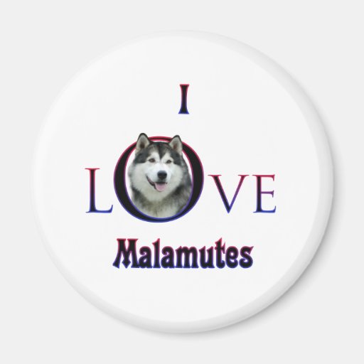 Alaskan Malamute I Love Magnets