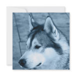 Alaskan Malamute Invitation