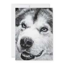 ALASKAN MALAMUTE CUSTOM INVITES