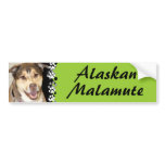 Alaskan Malamute Mix Photo Bumper Sticker