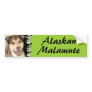 Alaskan Malamute Mix Photo Bumper Sticker