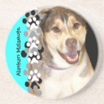 Alaskan Malamute Mix Photo Coasters