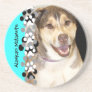 Alaskan Malamute Mix Photo Coasters