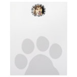 Alaskan Malamute Mix Photo Customized Letterhead