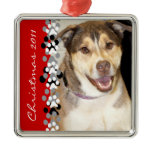 Alaskan Malamute Mix Photo Ornaments