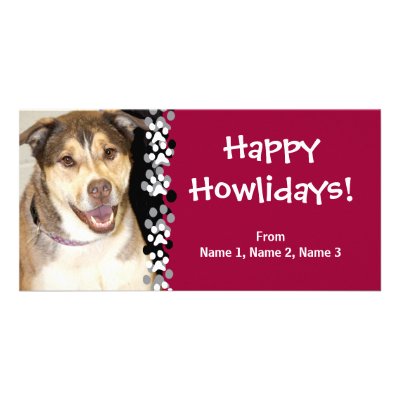 Alaskan Malamute Mix Photo Photo Cards by FCACshelter