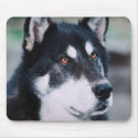 Alaskan Malamute mousepads by Paddydee56 Alaskan Malamute mousepads