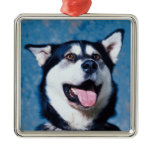 Alaskan Malamute Ornament