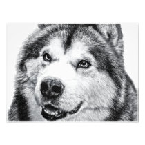 ALASKAN MALAMUTE PHOTO PRINT