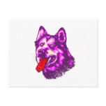 Alaskan Malamute Postcards