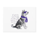alaskan Malamute Postcard
