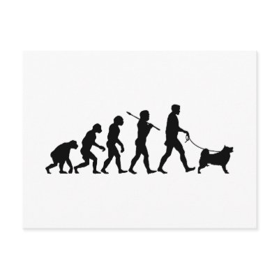 Alaskan Malamute Postcards by Pawdboy