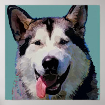 Alaskan Malamute Poster