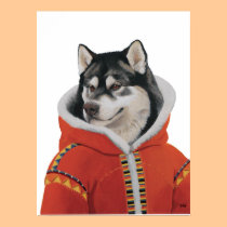 Alaskan Malamute poster posters
