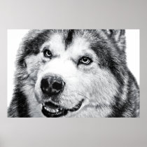 ALASKAN MALAMUTE POSTERS