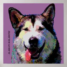 Alaskan Malamute Poster 12.5 x 12.5