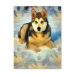 Alaskan Malamute Puppies Postcard